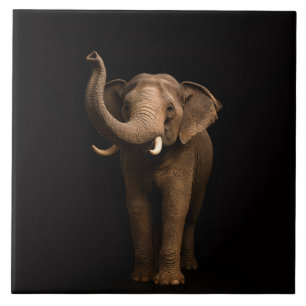 Zwarte 4 Luxe-tegel met machtige olifant Tegeltje