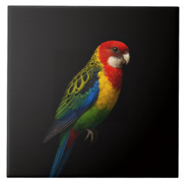 Zwarte 4 Luxe-tegel met oosterlijke rosella-papega Tegeltje