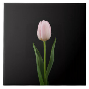 Zwarte 4 Luxe-tegel met roze tulp Tegeltje