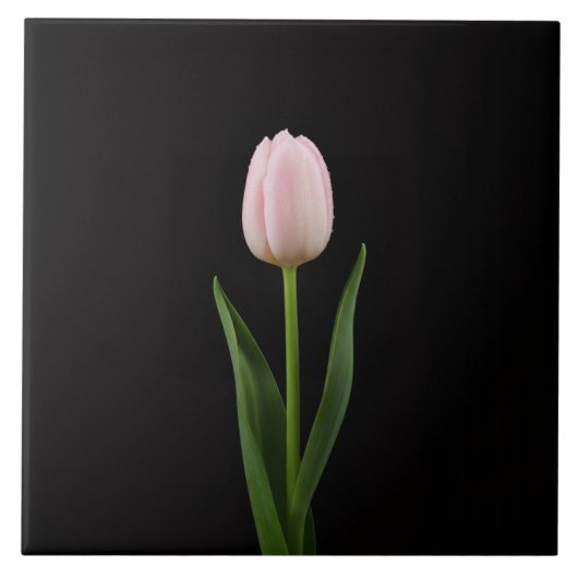 Zwarte 4 Luxe-tegel met roze tulp Tegeltje (Voorkant)