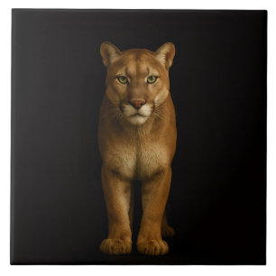 Zwarte 4 Luxe-tegel met stille Prime Puma Tegeltje