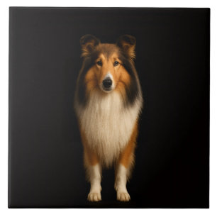 Zwarte 4 Luxe tegel met trouwe Collie hond Tegeltje