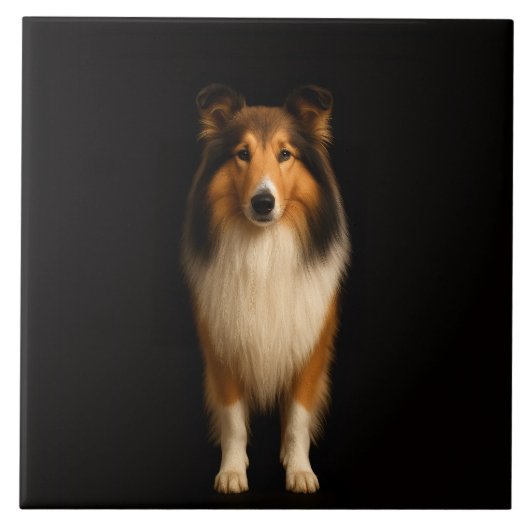Zwarte 4 Luxe tegel met trouwe Collie hond Tegeltje (Voorkant)