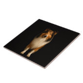 Zwarte 4 Luxe tegel met trouwe Collie hond Tegeltje (Zijkant)