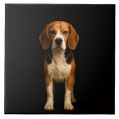 Zwarte 4 Luxe Tegel met Vriendelijke Beagle Tegeltje (Voorkant)