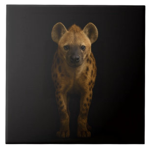 Zwarte 4 Luxe-tegel met wilde gevlekte hyena Tegeltje