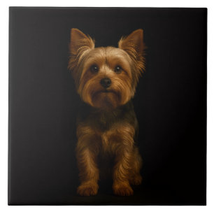 Zwarte 4 Luxe Tegel met Yorkshire Terrier Tegeltje