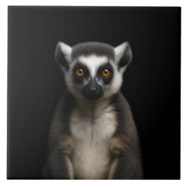 Zwarte 4 Luxe-tegel met zachte lemur Tegeltje