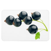 Zwarte aaltjes magneet (Horizontaal)