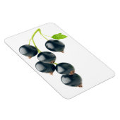 Zwarte aaltjes magneet (Rechterzijde)