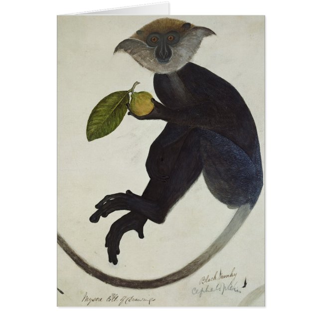 Zwarte aap (Voorkant)