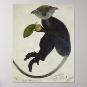 Zwarte aap poster (Voorkant)