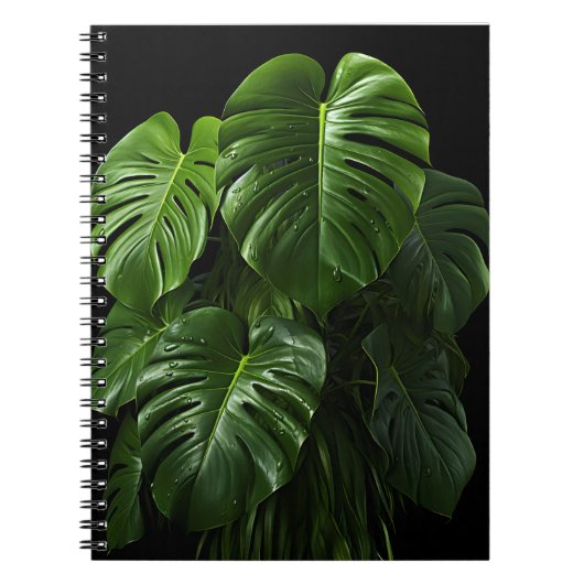 Zwarte achtergrond Monstera Deliciosa bladeren Notitieboek (Voorkant)
