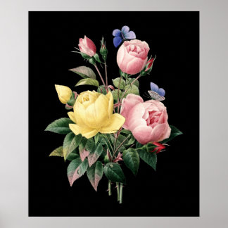 zwarte achtergrond rozen bouquet Redoute Poster