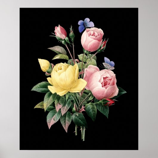 zwarte achtergrond rozen bouquet Redoute Poster (Voorkant)