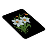 Zwarte achtergrond Tulpen en Daffodils Flowers Magneet (Rechterzijde)