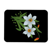 Zwarte achtergrond Tulpen en Daffodils Flowers Magneet (Horizontaal)