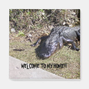 Zwarte Alligator Verwelkomt U in Zijn Huis Magneet