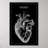 ZWARTE  ANATOMISCHE HART POSTER (Voorkant)