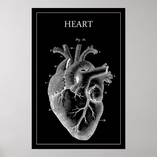 ZWARTE ANATOMISCHE HART POSTER (Voorkant)