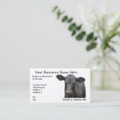 Zwarte Angus Calf voor de Eigenaar van een ranch Visitekaartje (Staand voorkant)