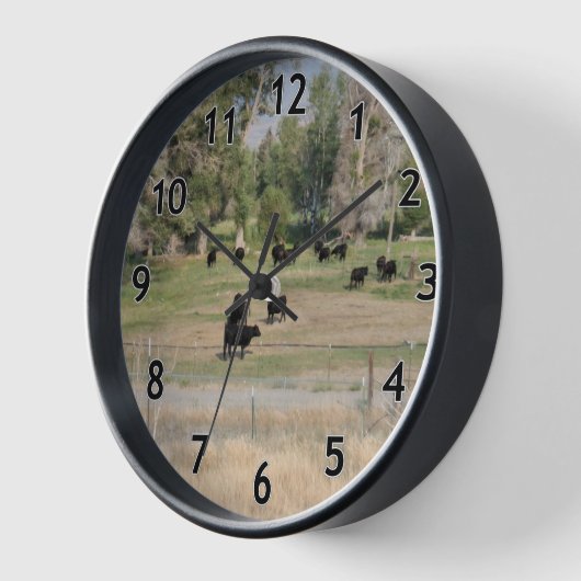 Zwarte Angus in de Pasture (Hoek)