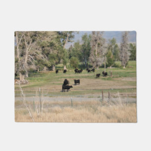 Zwarte Angus in de Pasture Deurmat
