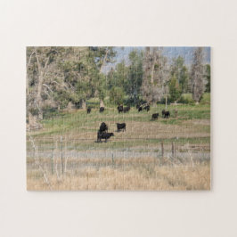 Zwarte Angus in de Pasture Legpuzzel
