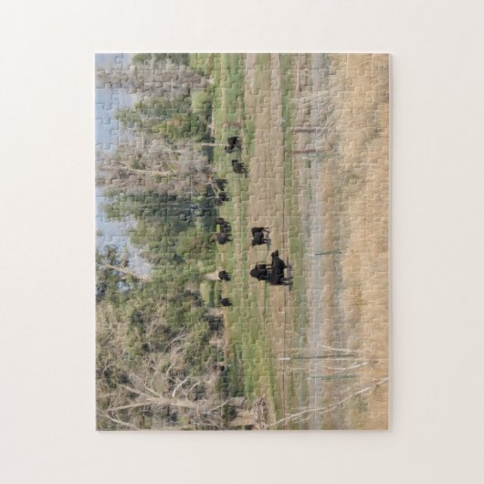 Zwarte Angus in de Pasture Legpuzzel (Verticaal)