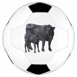 Zwarte Angus-Koe & Cute Calf Voetbal