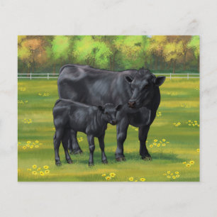 Zwarte Angus-Koe en Cute Calf in zomerperiode