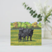 Zwarte Angus-Koe en Cute Calf in zomerperiode Briefkaart (Staand voorkant)
