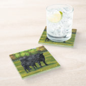 Zwarte Angus-Koe en Cute Calf in zomerperiode Glazen Onderzetter (Schuin)