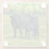 Zwarte Angus-Koe en Cute Calf in zomerperiode Glazen Onderzetter (Achterkant)