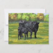 Zwarte Angus-Koe en Cute Calf in zomerperiode Kaart (Voorkant)