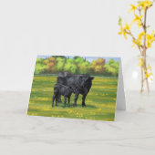 Zwarte Angus-Koe en Cute Calf in zomerperiode Kaart (Gele Bloem)