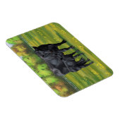 Zwarte Angus-Koe en Cute Calf in zomerperiode Magneet (Rechterzijde)