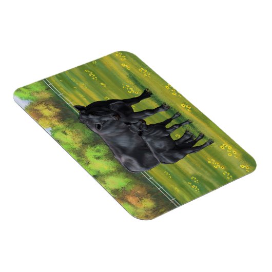 Zwarte Angus-Koe en Cute Calf in zomerperiode Magneet (Rechterzijde)