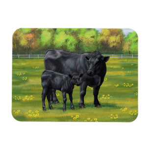 Zwarte Angus-Koe en Cute Calf in zomerperiode Magneet