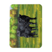 Zwarte Angus-Koe en Cute Calf in zomerperiode Magneet (Verticaal)