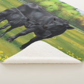 Zwarte Angus-Koe en Cute Calf in zomerperiode Sherpa Deken (3/4)