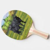 Zwarte Angus-Koe en Cute Calf in zomerperiode Tafeltennisbatje (Zijkant)