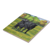 Zwarte Angus-Koe en Cute Calf in zomerperiode Tegeltje (Zijkant)