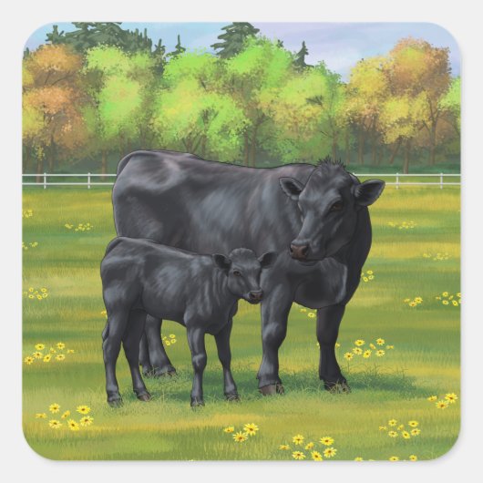 Zwarte Angus-Koe en Cute Calf in zomerperiode Vierkante Sticker (Voorkant)