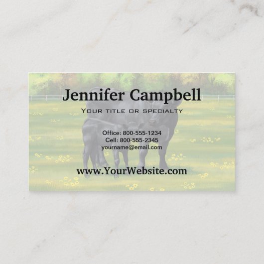 Zwarte Angus-Koe en Cute Calf in zomerperiode Visitekaartje (Achterkant)