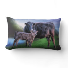 Zwarte Angus-koe en -kalf