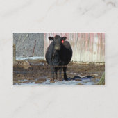 Zwarte Angus Koe in de winter Visitekaartje (Achterkant)
