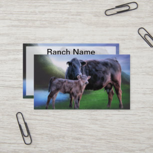 Zwarte Angus Koe Kalveren Ranch Weiland Boerderij  Visitekaartje