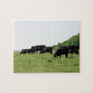Zwarte Angus Legpuzzel