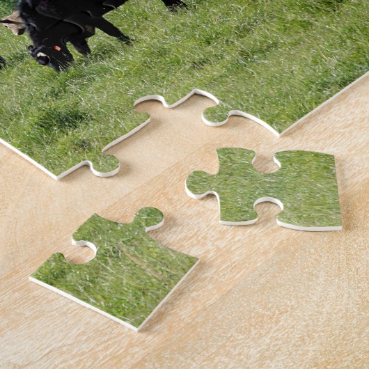 Zwarte Angus Legpuzzel (Zijkant)